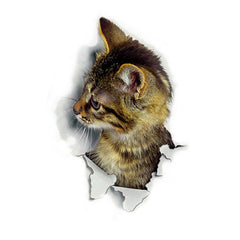 Creative Cat Wall Sticker 3D Animal Wall Decor Sticker Bedroom Children's Room Wall Decor Picture Cute Cat Wall Stickers