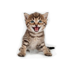 Creative Cat Wall Sticker 3D Animal Wall Decor Sticker Bedroom Children's Room Wall Decor Picture Cute Cat Wall Stickers